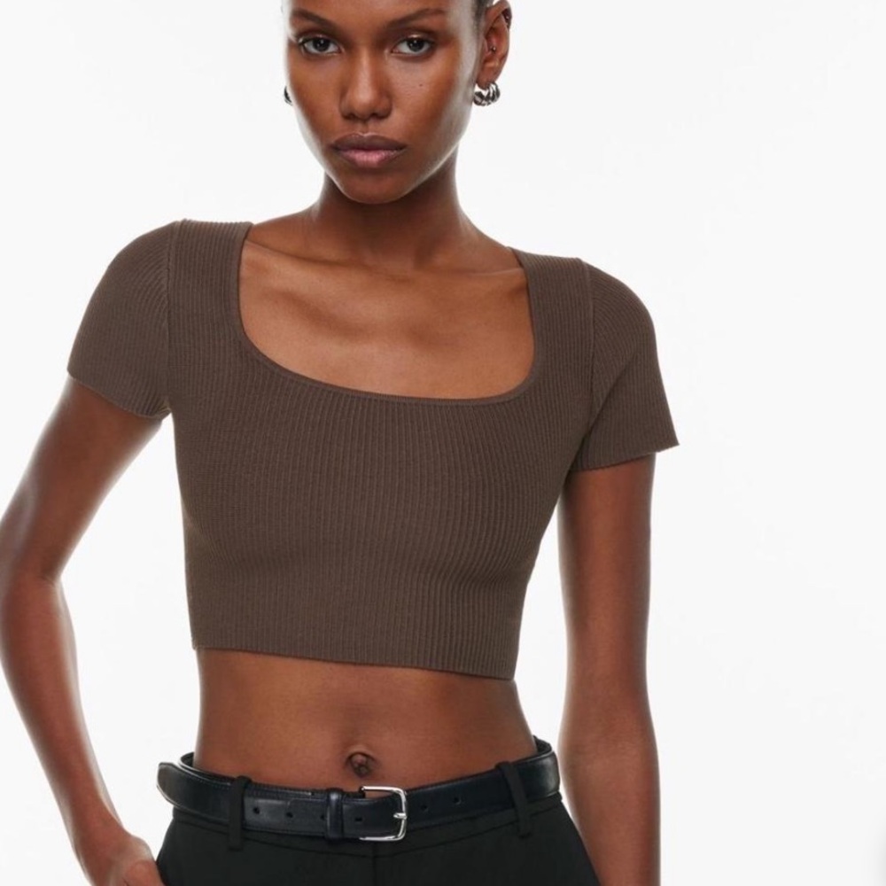 Aritzia Babaton Contour Top in Brown